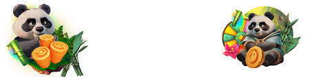 Spinanga Online Casino Site Testimonial